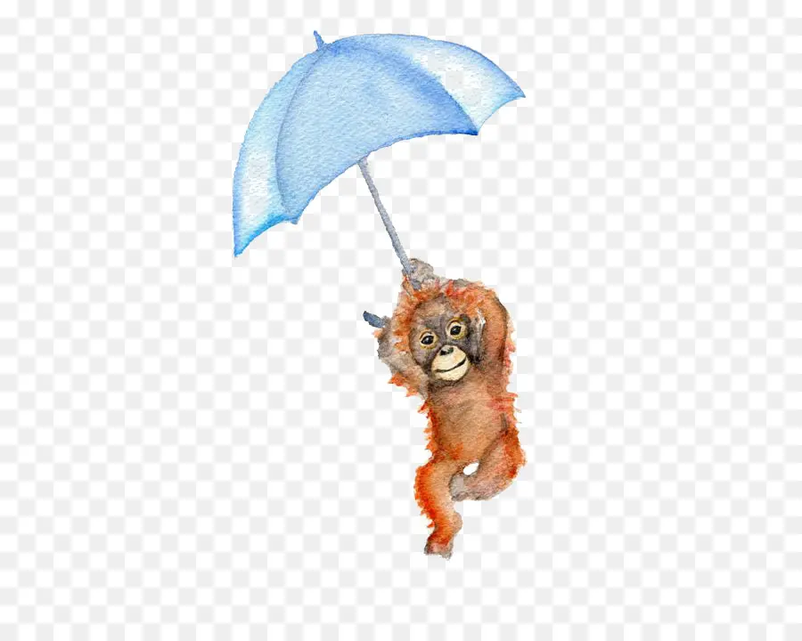 Singe De Dessin Animé，Parapluie PNG