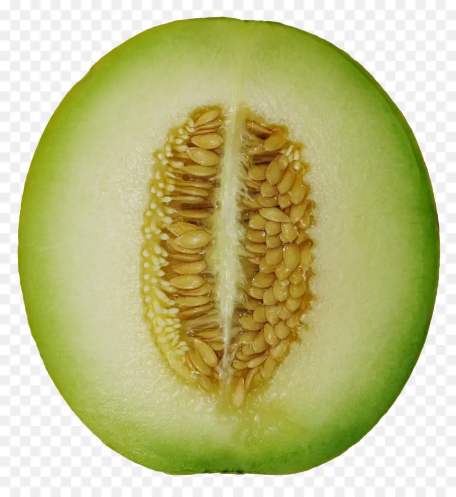 Cantaloup，Hami Melon PNG