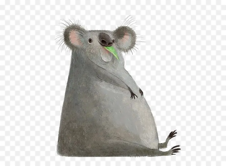 Koala，Chanson PNG