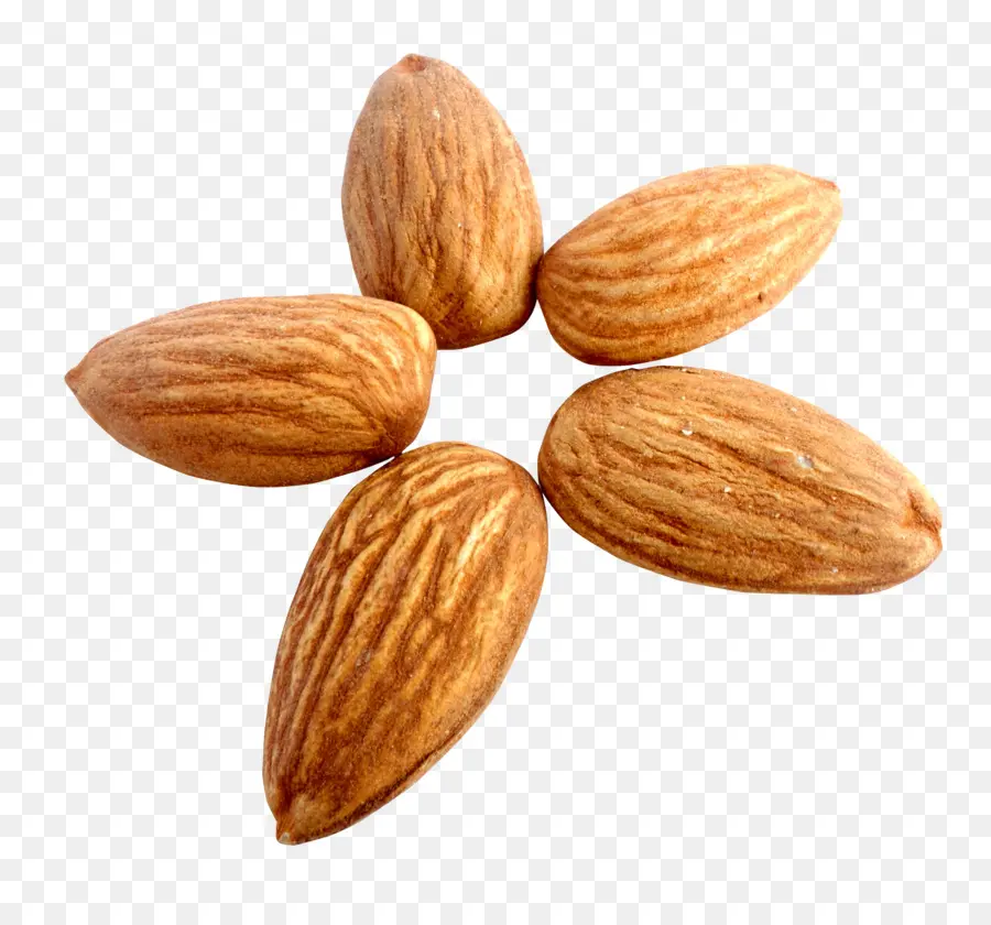 Amandes，Noix PNG