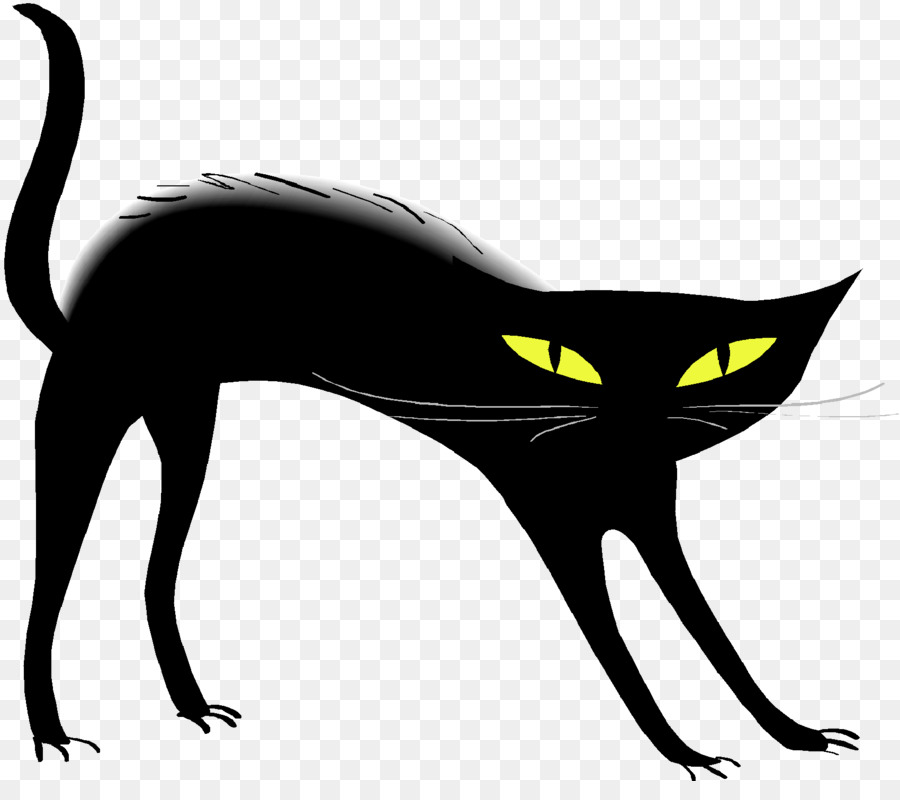 Chat Noir，Félin PNG