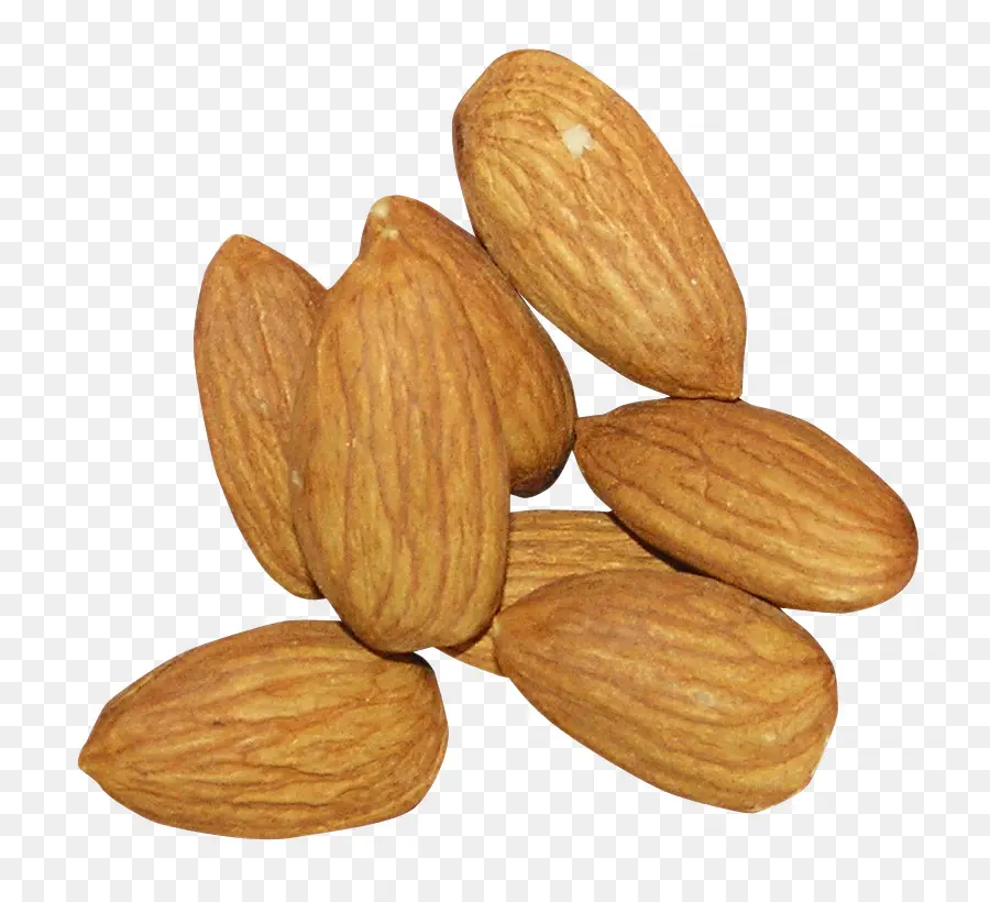 Amandes，Noix PNG