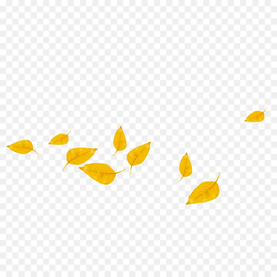 Feuilles D'automne，Chute PNG