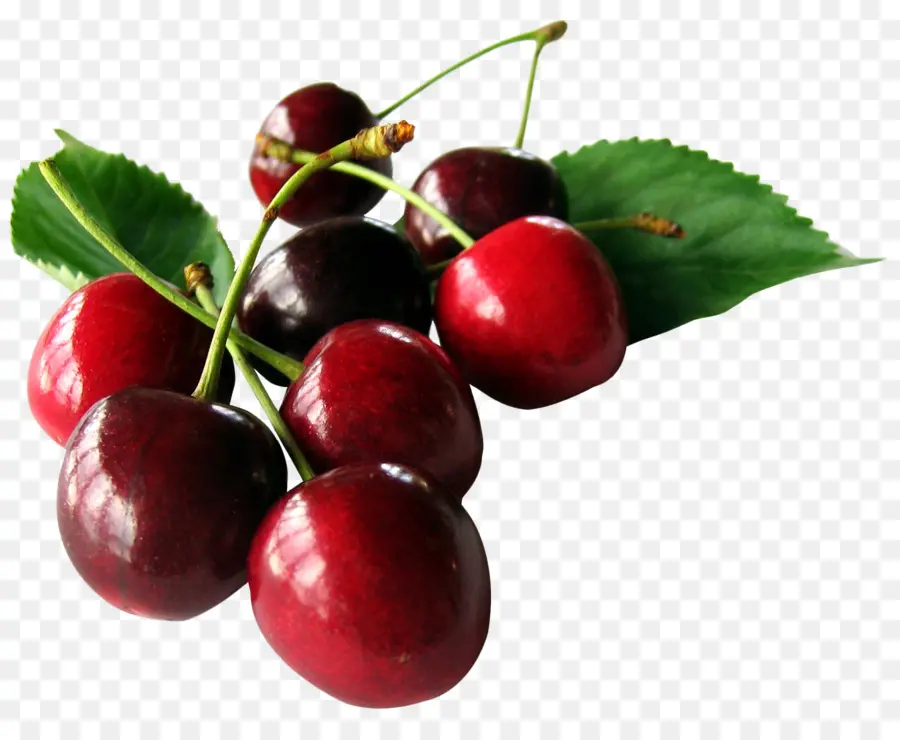 Cerises，Tige PNG