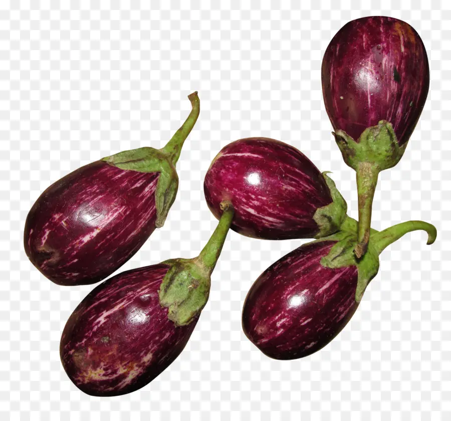 Aubergines Violettes，Frais PNG