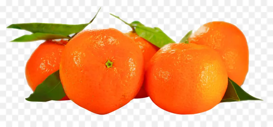 Oranges，Agrumes PNG