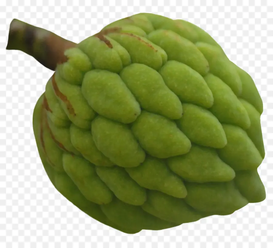 Pomme à La Crème，Vert PNG