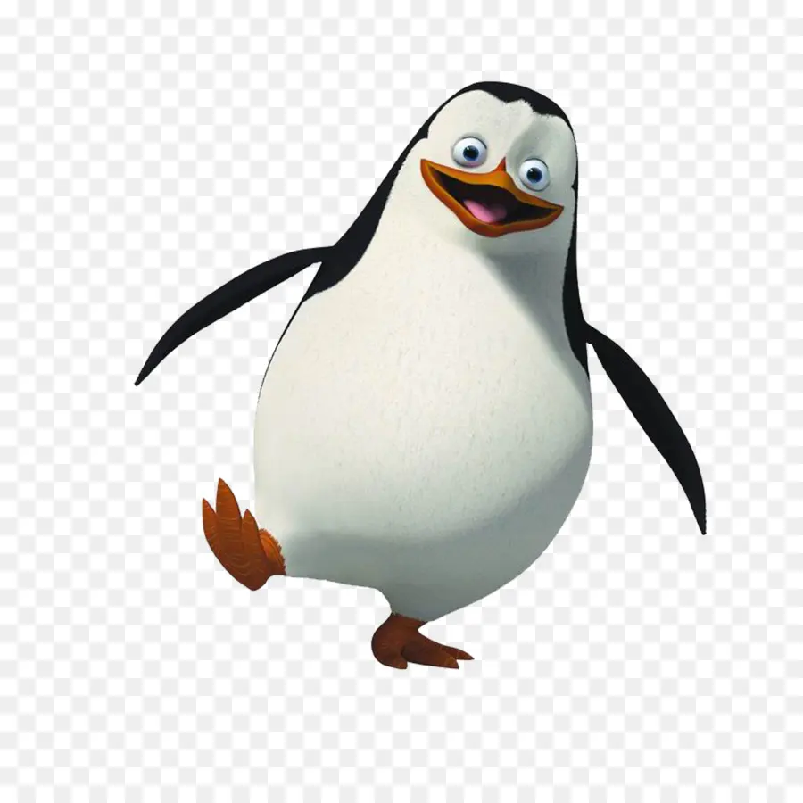 Skipper，Rico PNG