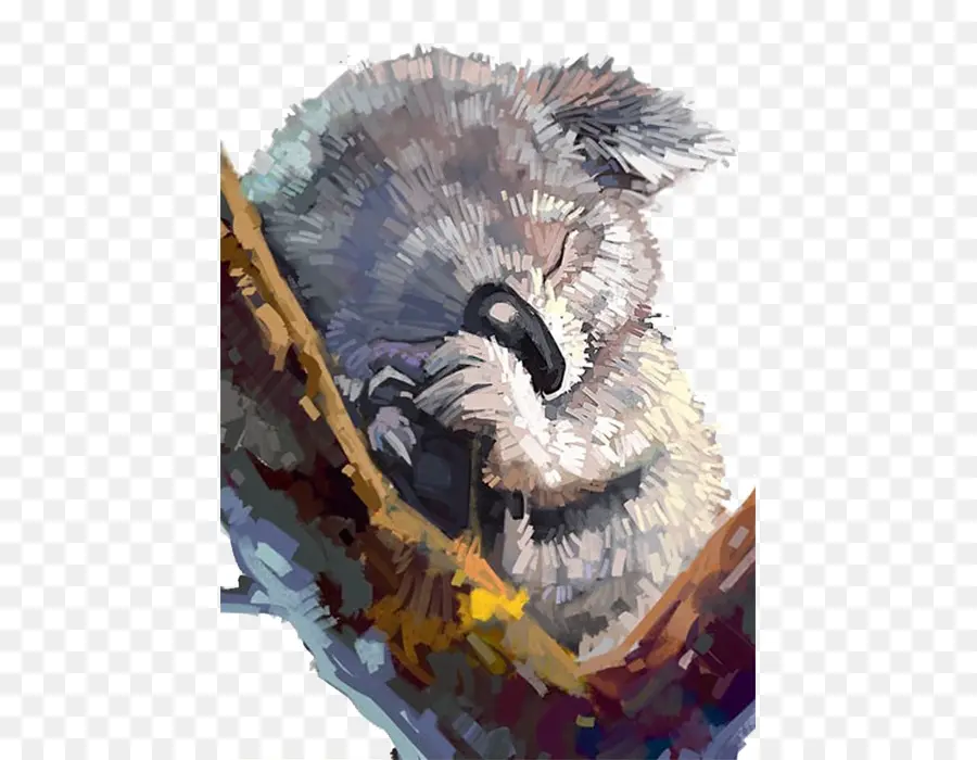 Koala，Dormir PNG