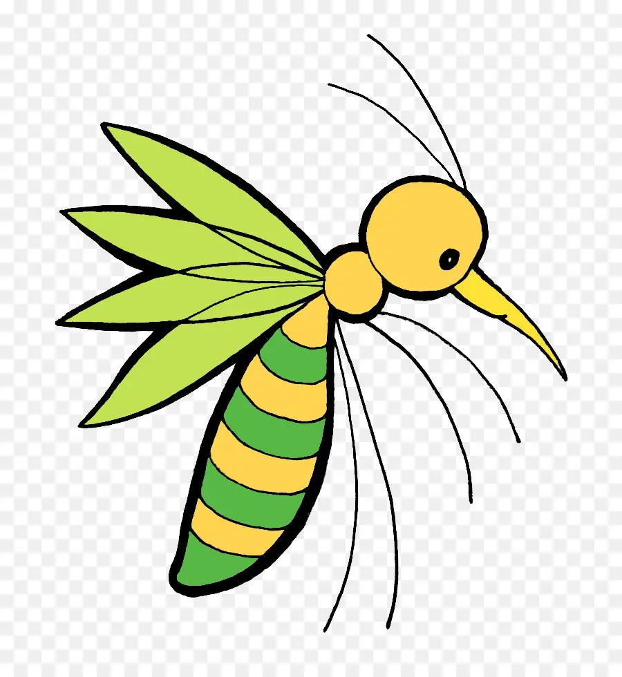 Insecte De Dessin Animé，Bogue PNG