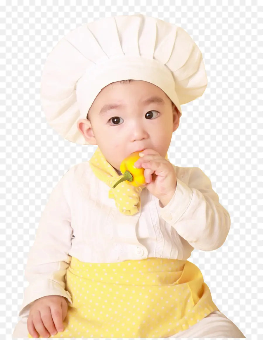 Bébé Chef，Toque De Chef PNG