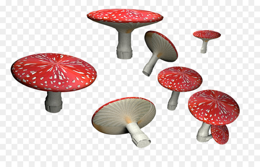 Amanite Muscaria，Champignons PNG