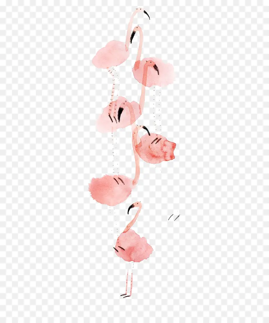 Flamants Roses Aquarelles，Rose PNG