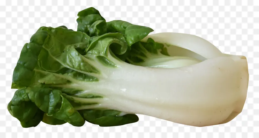 Bok Choy，Vert PNG