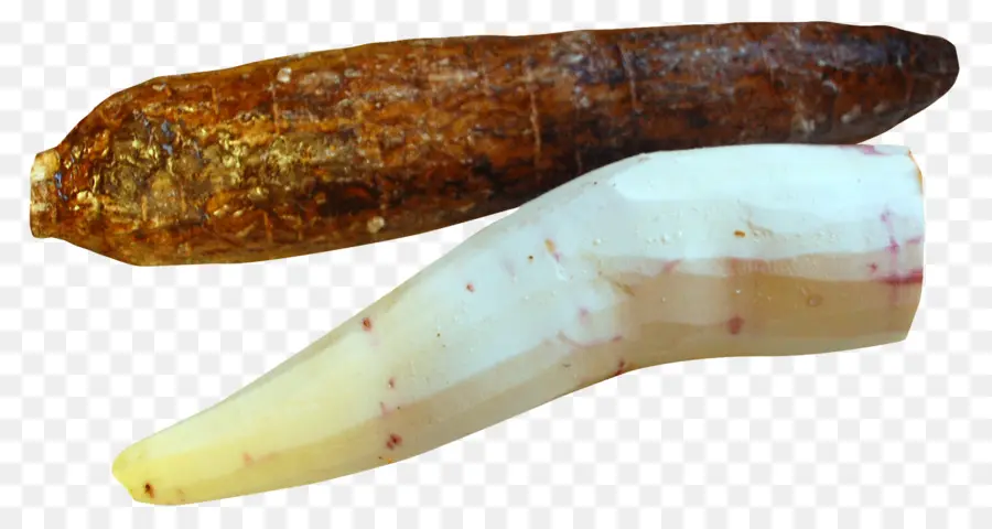 Le Manioc，Fruits PNG