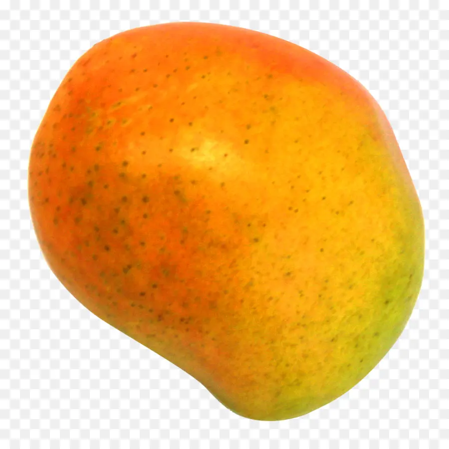 Pamplemousse，Orange PNG