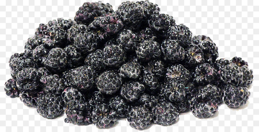 Les Fruits De La Forêt，Boysenberry PNG