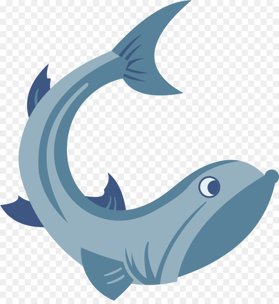 Dauphin，Requin PNG