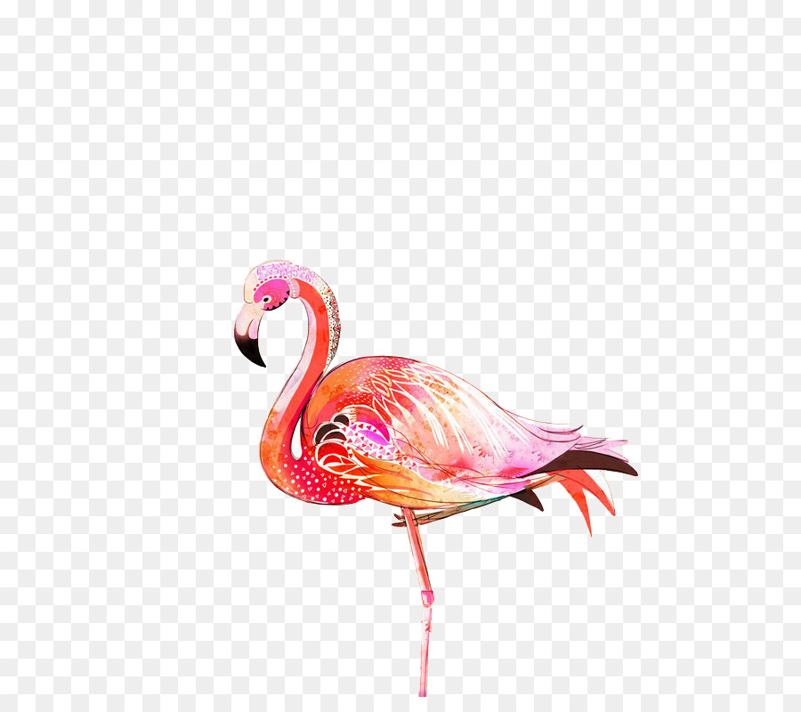 flamingo oiseau flamant rose png flamingo oiseau flamant rose transparentes png gratuit flamingo oiseau flamant rose png