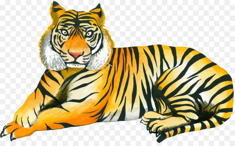 Tigre，Rayures PNG