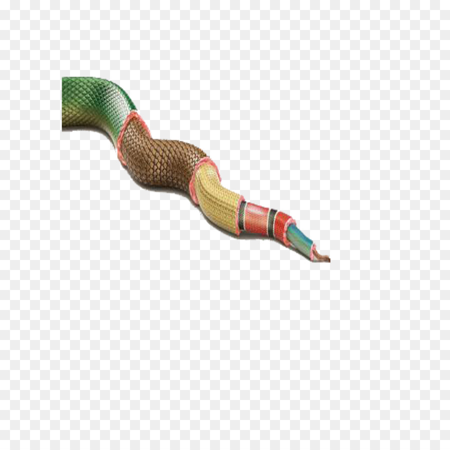 Serpent，Reptile PNG