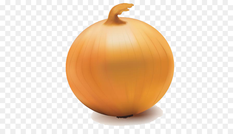 L Oignon，Jackolantern PNG