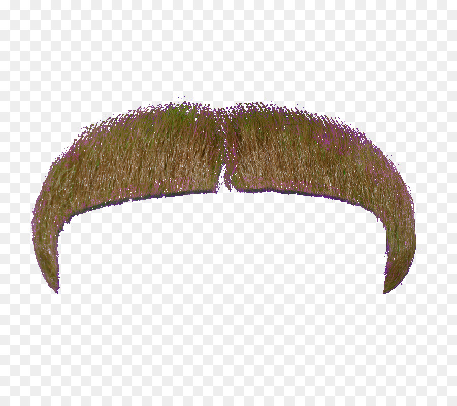 Moustache，Cheveux PNG