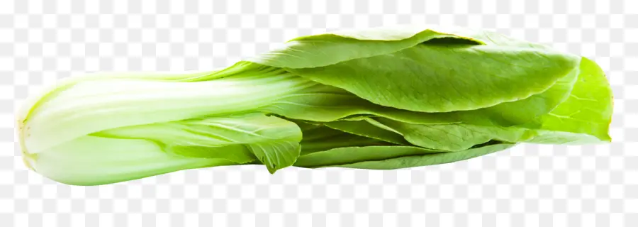 Bok Choy，Laitue Romaine PNG