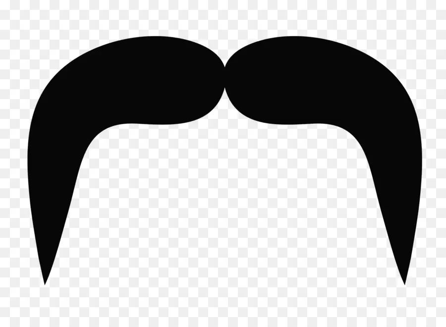 Moustache Noire，Moustache PNG