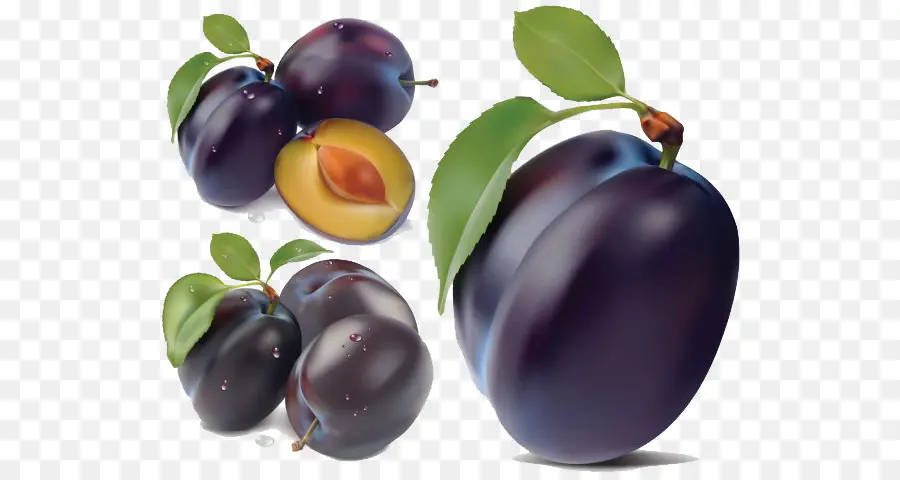 Prunes，Violet PNG