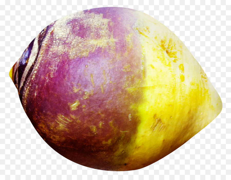 Rutabaga，Racine PNG