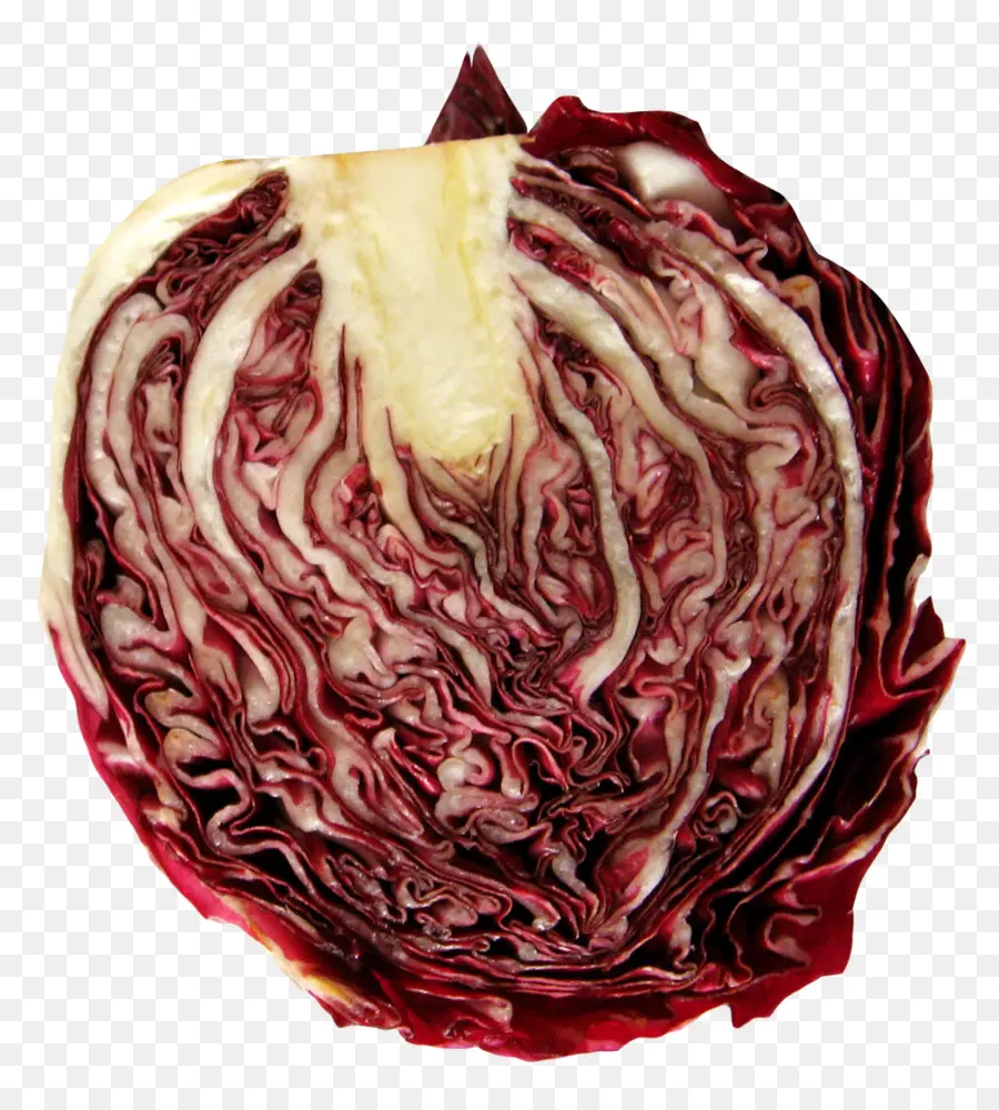 Radicchio，Feuillu PNG