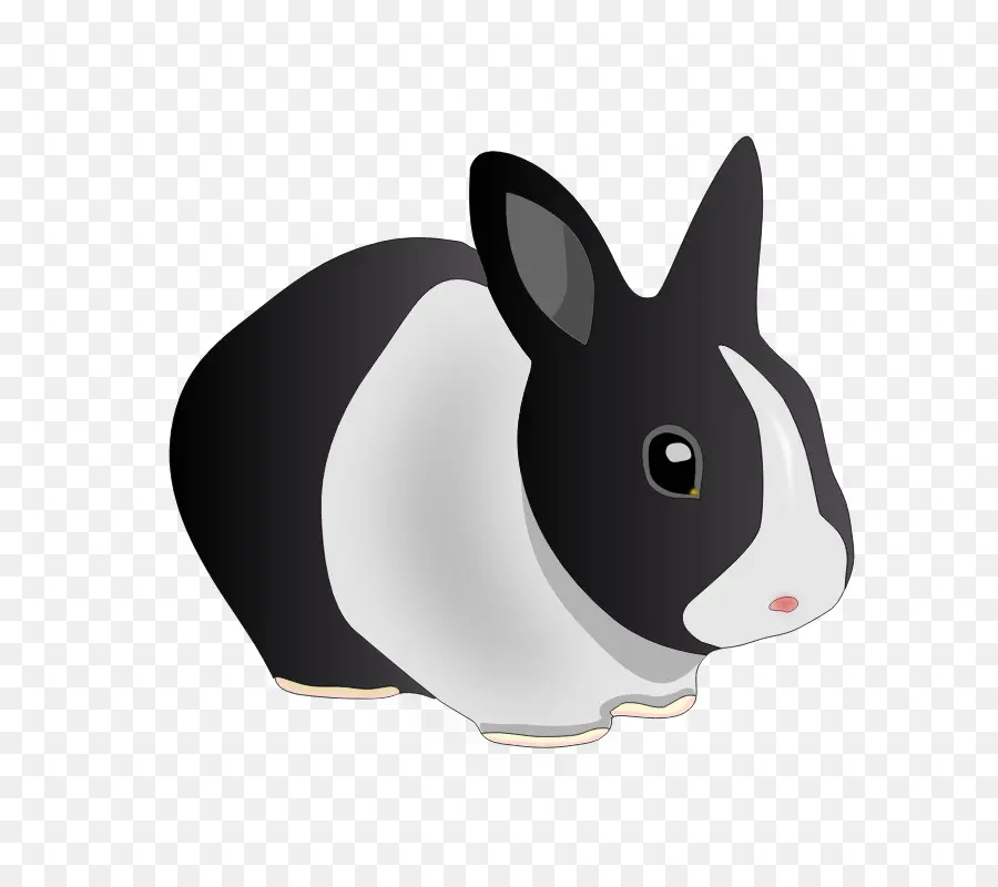 Lapin，Animal De Compagnie PNG