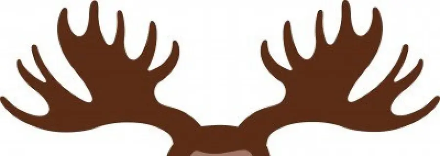 Bois，Cerf PNG