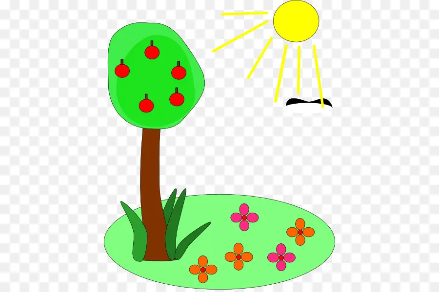 Arbre Et Soleil，Fleurs PNG