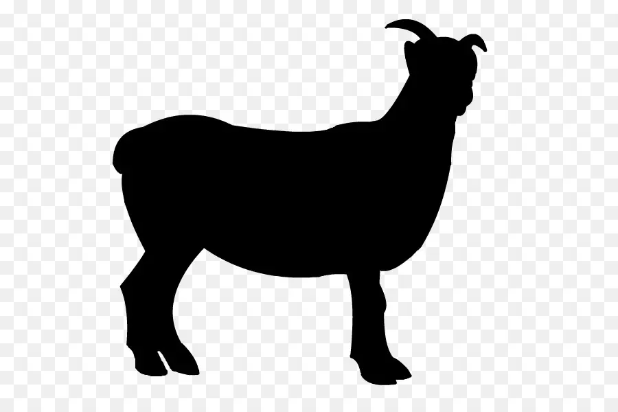 Les Moutons，Chèvres Boer PNG