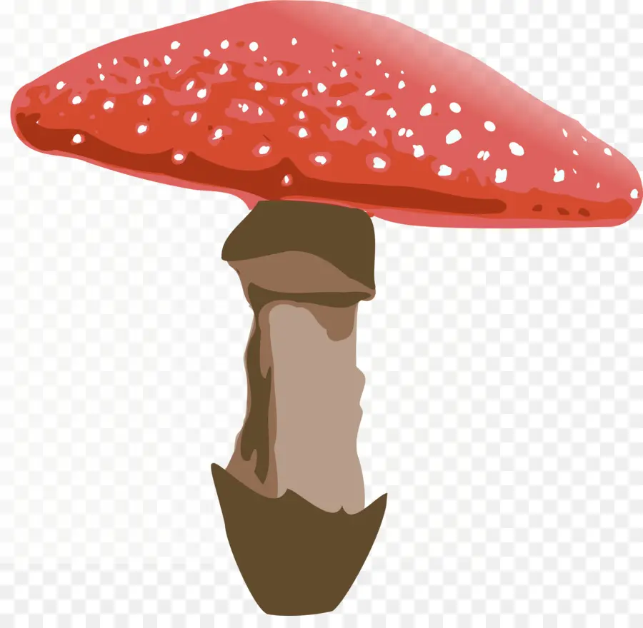 Champignon Rouge，Champignons PNG