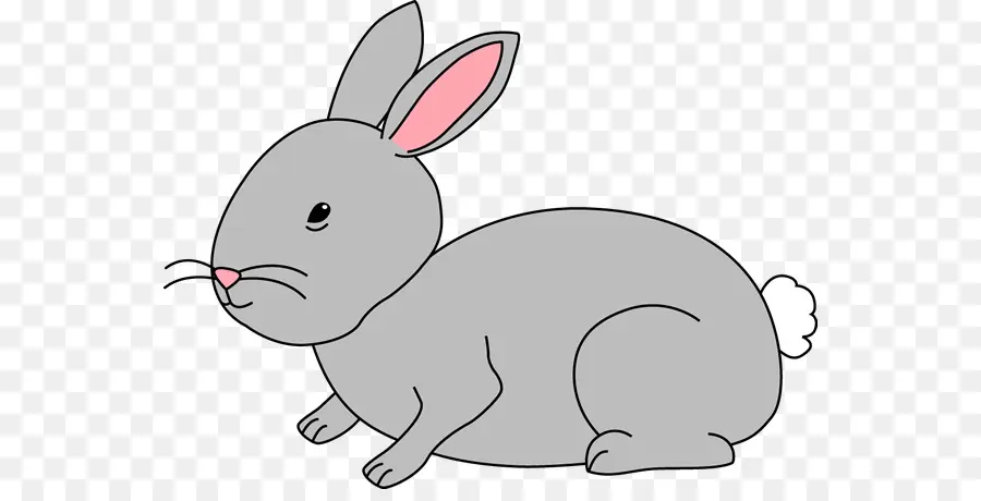 Lapin，Contenu Gratuit PNG