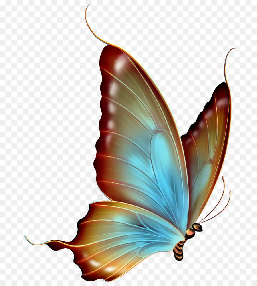 Papillon，Bleu PNG