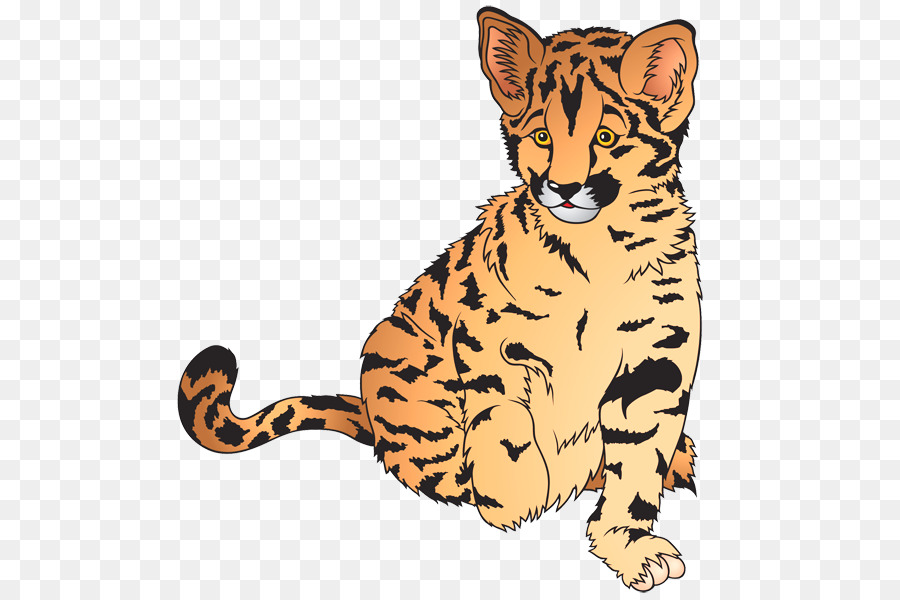 Petit Tigre，Dessin Animé PNG