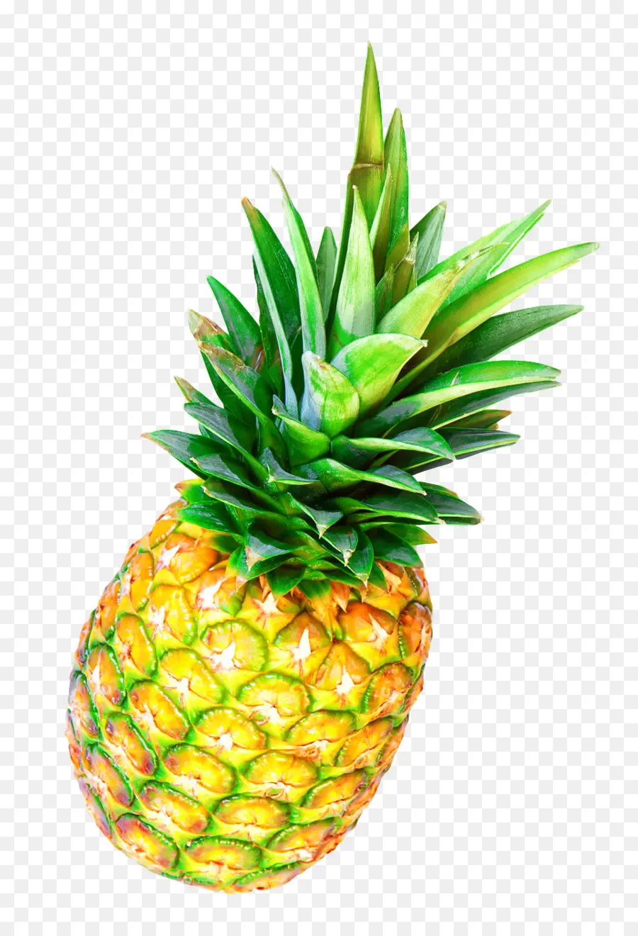 Ananas，Tropical PNG