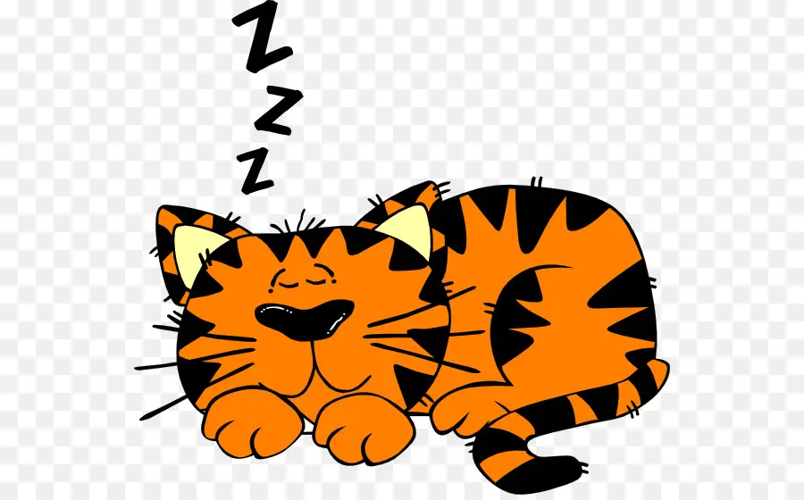 Chat Endormi，Dormir PNG