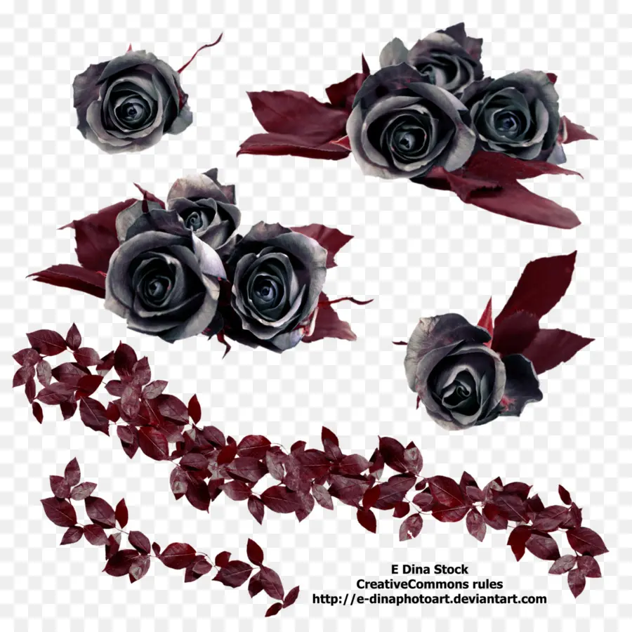 Roses Noires，Fleurs PNG