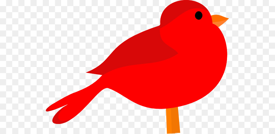 Oiseau，Rouge PNG
