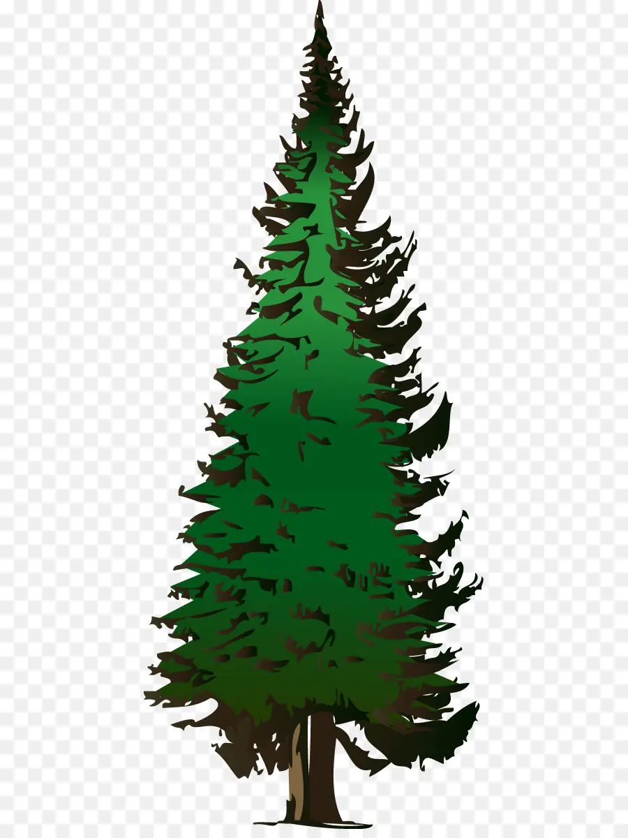 Pin，Arbre PNG