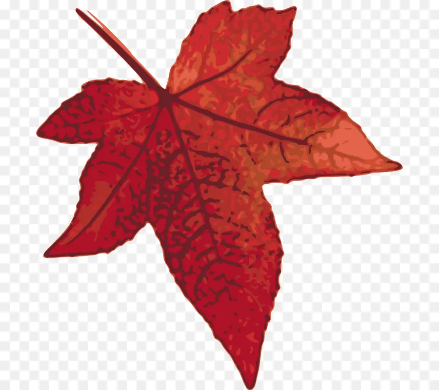 Feuille Rouge，Automne PNG