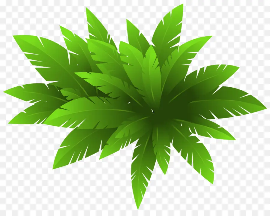 Feuille Verte，Nature PNG