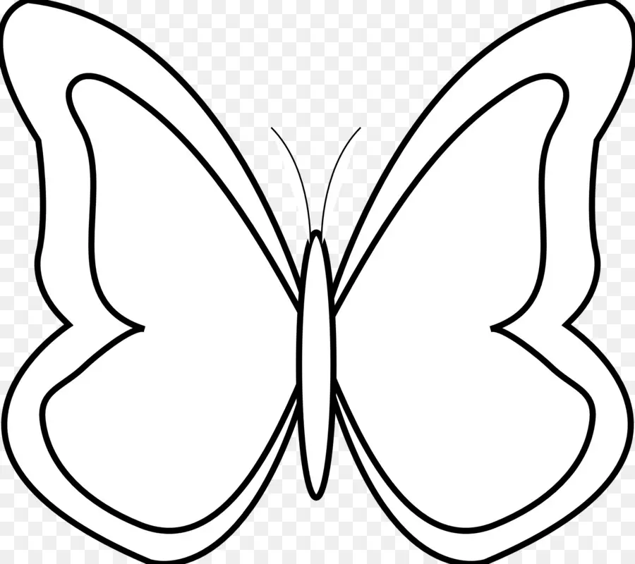 Papillon，Blanc PNG