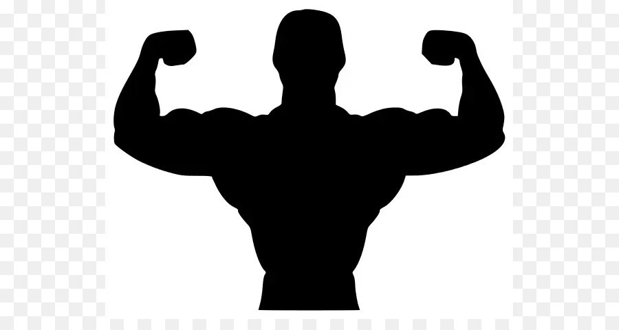 Culturiste，Muscles PNG