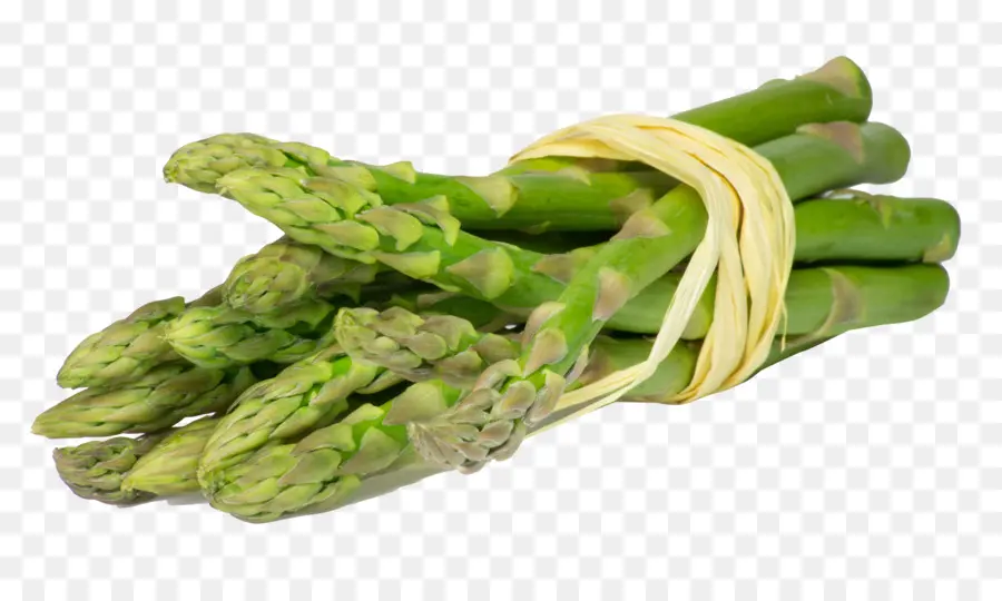 Asperge，Vert PNG